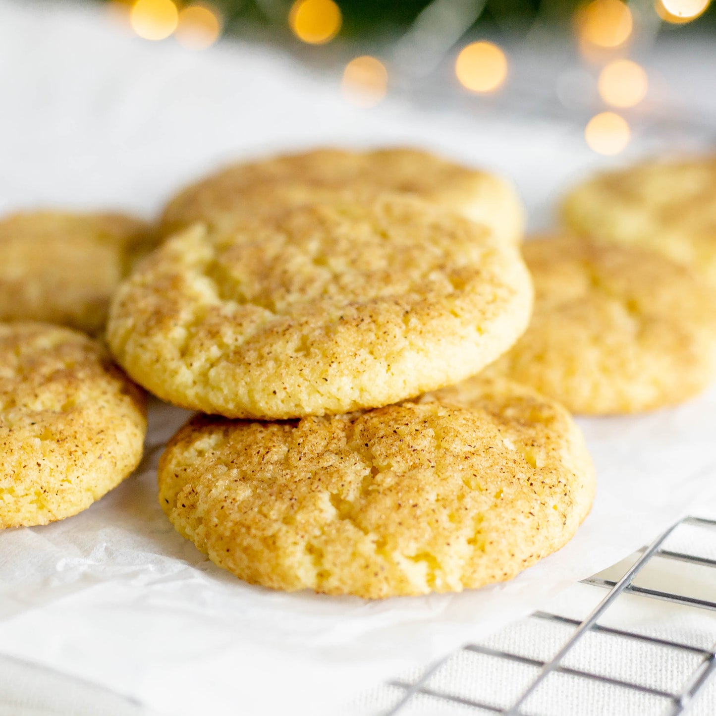 Snickerdoodle Cookie Mix